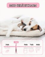 LOEVERY Pfotentrimmer für Hunde & Katzen mit LED-Licht – USB-Akku Hundeschermaschine – Bild 4