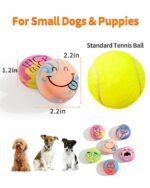 SCHITEC Quietsch-Spielbälle 6er Set – Interaktives Latex-Hundespielzeug für Welpen & kleine Hunde – Bild 5