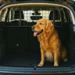 Eurocatch Hundegitter Rückbank 30 cm – Verstellbar 85-140 cm für sichere Autofahrten – Bild 5