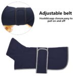 Morezi Winterhundejacke M mit Flusenfutter & Klettverschluss – Wärmeschutz für kleine Hunde – Bild 7