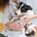 WWVVPET Nagelknipser mit LED-Licht – Professionelle Krallenschere für Hunde & Katzen – Bild 10
