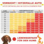 Petgold UV-Schattennetz Auto 3x4 m – Aluminium-Hitzeschutzplane mit Ösen für Hunde & Camping – Bild 8