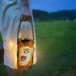NLNEY Solar-Eule Gartenleuchte – Automatische LED-Aussenleuchte mit Bewegungssensor für Garten – Bild 7