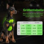 AUAUY LED-Hundegeschirr Grösse L – Aufladbar, Reflektierend & Atmungsaktiv – Bild 2