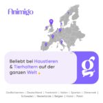 Animigo Pflege-Conditioner für Hunde 500 ml – Nährender Fellbalsam mit Lavendel-, Kokos- & Avocadoöl – Bild 7