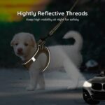 BELLA & PAL Hundegeschirr XS mit Air Mesh & Leine – Step-in Geschirr für kleine Hunde – Bild 6