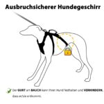 Huntboo Sicherheitsgeschirr M für Mittelgrosse Hunde – Ausbruchsicher mit Reflektoren & Griff – Bild 3