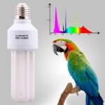 DERNORD UVB UVA Vogellampe E27 20W – Vollspektrum Wärmebirne für Papageien – Bild 5