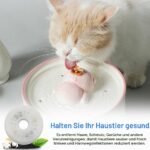 8er Set Katzenbrunnen Filter – Ersatzfilter für 3L Haustier Trinkbrunnen – Bild 5