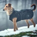 HUNTER Uppsala Hundemantel Grösse 40 – 2in1 Hundemantel mit herausknüpfbarem Innenfutter – Bild 2