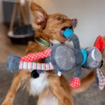 Nobby Plüsch Esel 56 cm mit Squeaker – Interaktives Hundespielzeug für Welpen – Bild 5