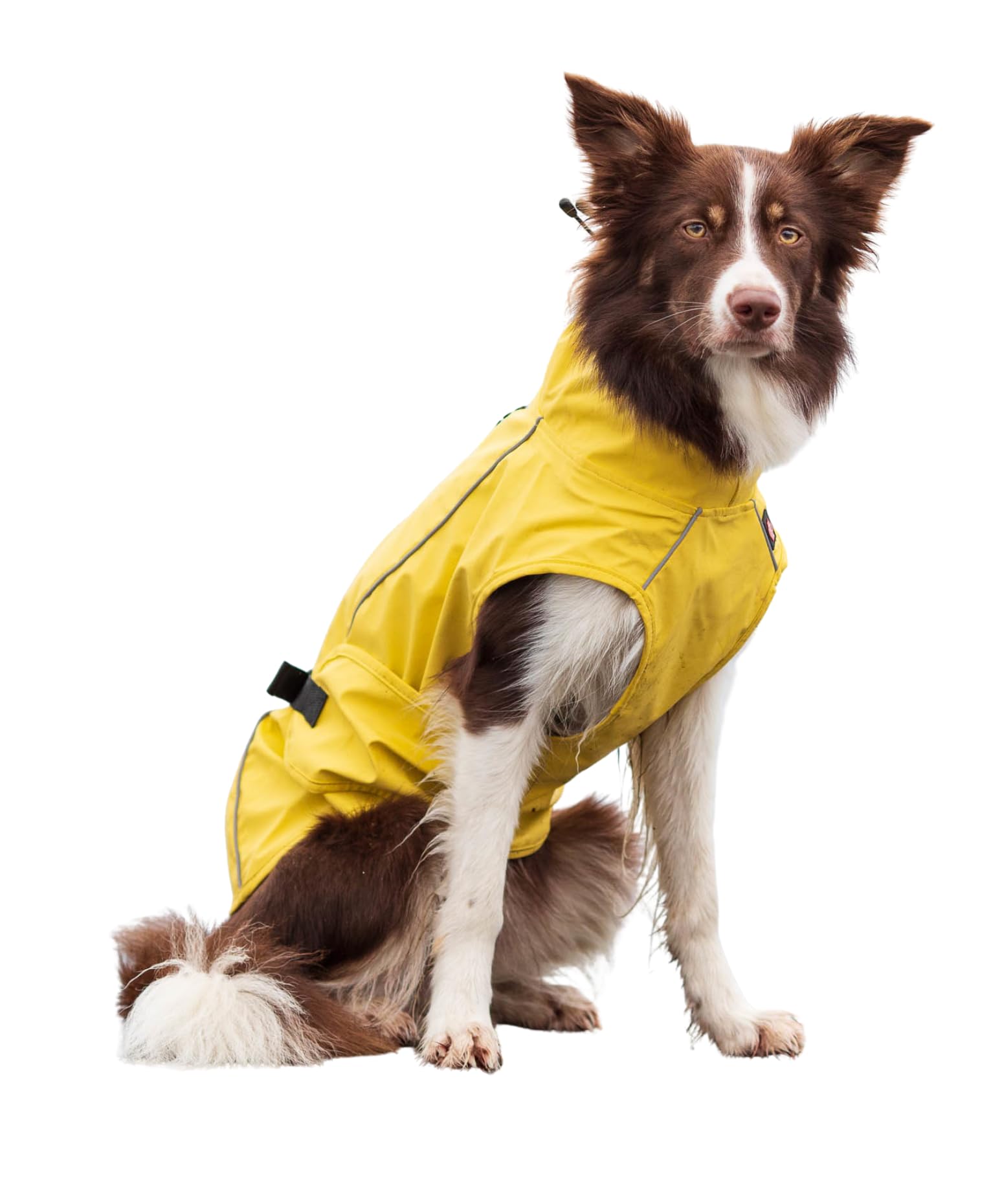 TRIXIE Hunde-Regenmantel Gr. M – Wasserdichte Regenjacke mit Reflektoren für Sicherheit