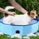 LUFEIS Hundepool 60x20cm – Faltbares Planschbecken mit Ablassventil für kleine Hunde – Bild 7