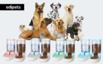 Edipets Automatischer Futterspender 3.8L – Doppelnapf für Katzen & Hunde (Grau) – Bild 6