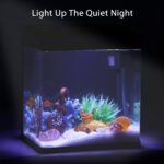 Nobleza 7L Nano Aquarium Komplettset mit LED-Beleuchtung & Filtersystem – Einsteigeraquarium – Bild 2
