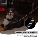 SYCozupy Hundeleine 3m verstellbar mit Doppelkarabiner – Premium Führleine für grosse Hunde – Bild 6