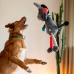 Nobby Plüsch Esel 56 cm mit Squeaker – Interaktives Hundespielzeug für Welpen – Bild 4