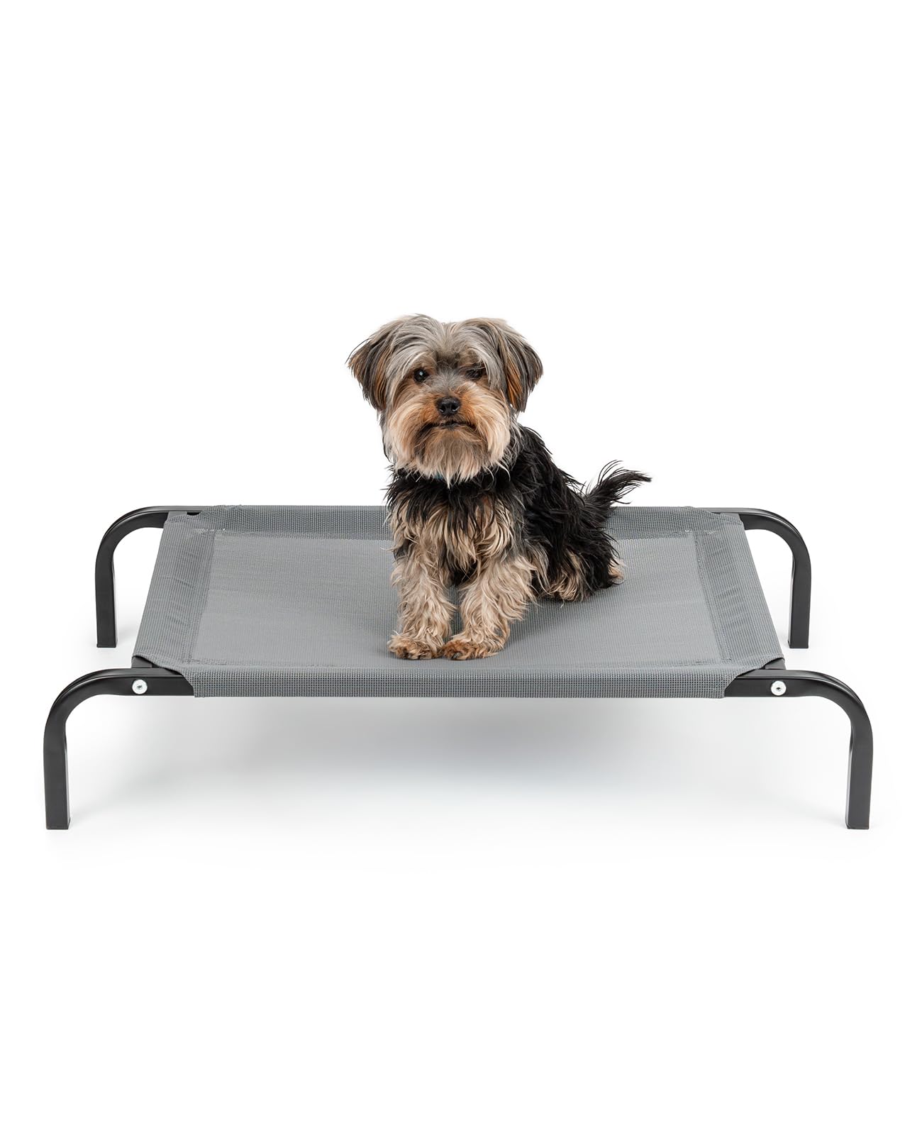 lionto Erhöhte Hundeliege 75 x 47 cm – Outdoor Haustierliege mit Metallgestell Grau