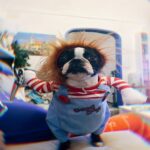 Bprtcra Deadly Doll Hundekostüm Grösse M – Halloween & Cosplay für Mittelgrosse Hunde – Bild 8