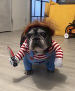 Bprtcra Deadly Doll Hundekostüm Grösse M – Halloween & Cosplay für Mittelgrosse Hunde – Bild 9