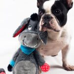Nobby Plüsch Esel 56 cm mit Squeaker – Interaktives Hundespielzeug für Welpen – Bild 7