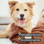 ReaVET Zupfbürste 2in1 – Doppelseitige Fellbürste für Hunde & Katzen mit Langhaar – Bild 6