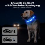 MASBRILL LED-Hundehalsband aufladbar – Sichtbarkeit bis 500 m für nächtliche Spaziergänge – Bild 6
