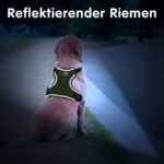 PoyPet Hundegeschirr Mittelgross M – Atmungsaktiv, Reflektierend & Erstickungsfrei – Bild 6