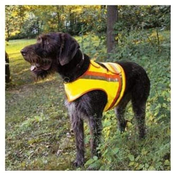 Reflektorweste für Hunde Größe 2 – Sicherheitsweste für Terrier von AKAH