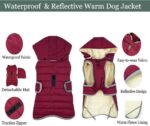 Etechydra Winter Hundejacke mit abnehmbarem Hut – Wasserdicht & warm für alle Hunderassen – Bild 4