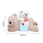 ALL FOR PAWS Little Buddy Hundespielzeug Bär – Kuscheliges Spielzeug für kleine Hunde – Bild 3