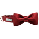 Lionet Paws Hundehalsband mit abnehmbarer Fliege – edles Seidenband für mittlere Hunde – Bild 4