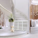 The Fellie Freistehendes Schutzgitter 60cm – Absperrgitter Hund & Kinder ohne Bohren – Bild 6