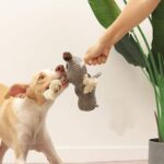 Sedioso Hundespielzeug Tauziehen – Plüsch-Kauspielzeug mit Quietscher für alle Hunderassen – Bild 5