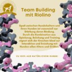 Riolino Kauknochen L Grau – Robustes Hundespielzeug aus Naturkautschuk mit Zahnpflege – Bild 6