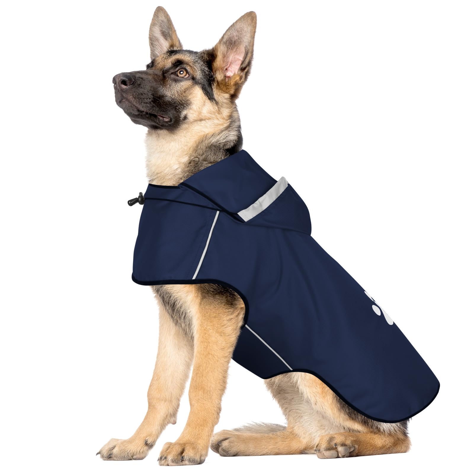 BiPawTi Hunderegenmantel Grösse L – Wasserdicht mit reflektierender Kapuze für grosse Hunde