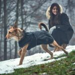HUNTER Uppsala Softshell Hundemantel Größe 40 – Winddicht & wasserabweisend für aktive Hunde – Bild 9