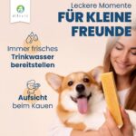 Dilecti Kaukäse XXL für Hunde – 100% Hartkäse, Zahnpflege & Langanhaltender Kausnack (3er-Pack) – Bild 8
