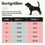 PoyPet Hundegeschirr Mittelgross M – Atmungsaktiv, Reflektierend & Erstickungsfrei – Bild 2