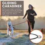 Non-stop dogwear CaniX Belt Grösse M – Hands-Free Hüftgurt für Canicross & Hundetraining – Bild 10
