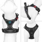 PHOEPET Hundegeschirr M mit Front-Clip & Reflektoren – Anti-Zug-Weste für kleine Hunde – Bild 2