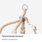 BuddyArmor Katzengeschirr Y-Form M – Ausbruchsicher & Anti-Würgen für sichere Spaziergänge – Bild 5