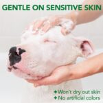 Vet's Best Allergie Juckreiz Relief Hundeshampoo 500 ml – Beruhigung für empfindliche Haut – Bild 6