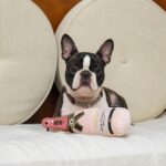 CHEWFFON Champagnerflasche Hundespielzeug mit Quietscher – interaktives Kauspielzeug für alle Hunderassen – Bild 5