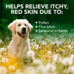Vet's Best Allergie Juckreiz Relief Hundeshampoo 500 ml – Beruhigung für empfindliche Haut – Bild 4