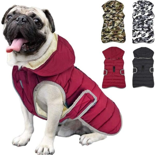 Etechydra Winter Hundejacke mit abnehmbarem Hut – Wasserdicht & warm für alle Hunderassen