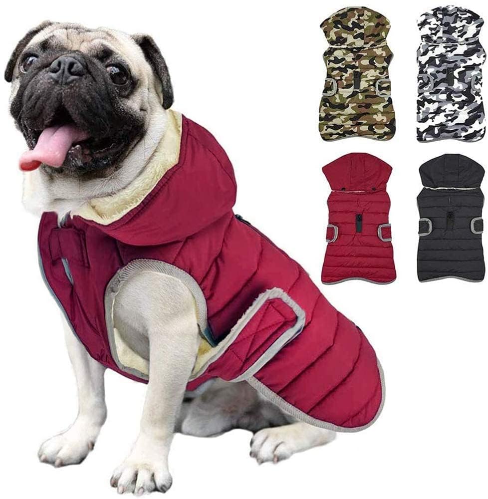 Etechydra Winter Hundejacke mit abnehmbarem Hut – Wasserdicht & warm für alle Hunderassen