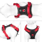 PHOEPET Hundegeschirr M Anti-Zug mit Griff – Verstellbar & Reflektierend für Mittelgrosse Hunde – Bild 2