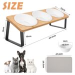 Lannvan Katzennapf Erhöht 3er Set – Keramik Futterstation mit 15° Neigung für Katzen & kleine Hunde – Bild 2
