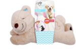 ALL FOR PAWS Little Buddy Hundespielzeug Bär – Kuscheliges Spielzeug für kleine Hunde – Bild 10